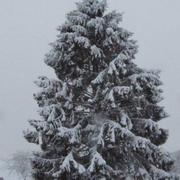 La Ferté-Gaucher 07/02/2018