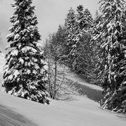 Saint-Christophe-sur-Guiers 07/02/2018