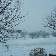 Bourg-le-Comte 07/02/2018