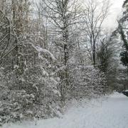 Élincourt-Sainte-Marguerite 07/02/2018