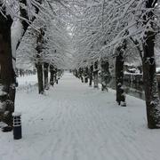La Ferté-Milon 07/02/2018
