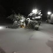 Goudelancourt-lès-Pierrepont 07/02/2018