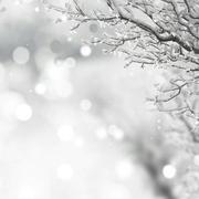 La Ville-aux-Bois-lès-Pontavert 07/02/2018