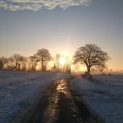 Écorpain 08/02/2018