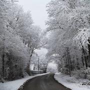 Triguères 08/02/2018