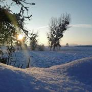 Charleville 08/02/2018