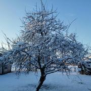 Charleville 08/02/2018