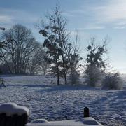 Charleville 08/02/2018