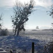 Charleville 08/02/2018