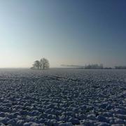 Le Louroux 08/02/2018