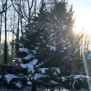 Thury-sous-Clermont 09/02/2018