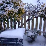 Nogent-le-Bernard 09/02/2018