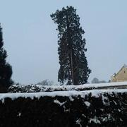 Thury-en-Valois 09/02/2018