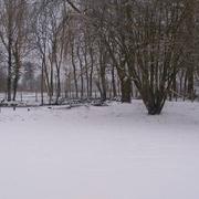 Bivilliers 09/02/2018