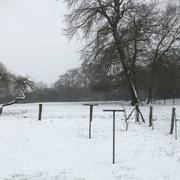 Beaulieu-les-Fontaines 09/02/2018