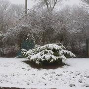 Brouchaud 09/02/2018