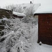 Villers-Cotterêts 09/02/2018