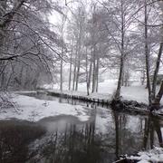 Saint-Paul 09/02/2018