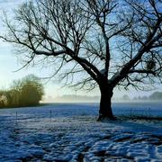 Saint-Martin-d'Arcé 10/02/2018