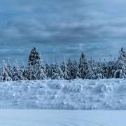 Saint-Nicolas-des-Biefs 11/02/2018