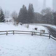 Saint-Donat 11/02/2018