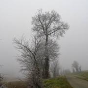 Blanquefort 12/02/2018