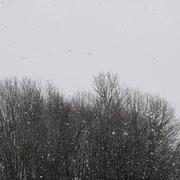 Beaupréau 13/02/2018