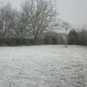 Le Vigeant 13/02/2018