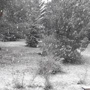 Trélissac 13/02/2018