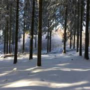 Saint-Léger-le-Guérétois 13/02/2018