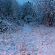 Ciry-le-Noble 13/02/2018