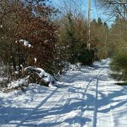 Chaumont-sur-Tharonne 13/02/2018