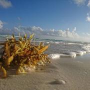 Sancti Spiritus 15/02/2018