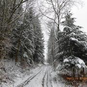 Chamberet 16/02/2018