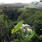 Rivière-Salée 16/02/2018