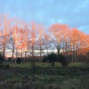 Massaguel 17/02/2018