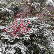 Manzac-sur-Vern 18/02/2018