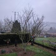 Bouxières-aux-Chênes 19/02/2018