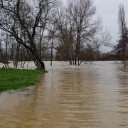 Montégut-Arros 20/02/2018