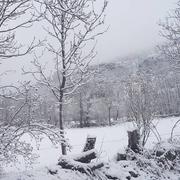 Latour-de-Carol 21/02/2018