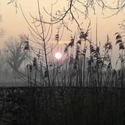 Érondelle 21/02/2018