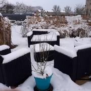 La Ville-aux-Bois-lès-Pontavert 21/02/2018