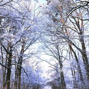 Griselles 22/02/2018