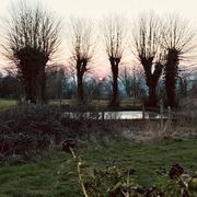 Aubry-le-Panthou 22/02/2018