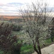 Bouglon 22/02/2018