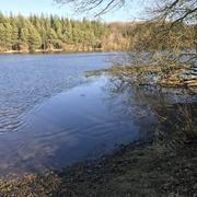 Soligny-la-Trappe 23/02/2018