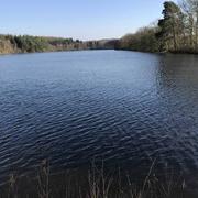 Soligny-la-Trappe 23/02/2018