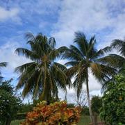 Le Lamentin 25/02/2018