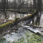 Vinzelles 25/02/2018