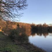 Soligny-la-Trappe 26/02/2018